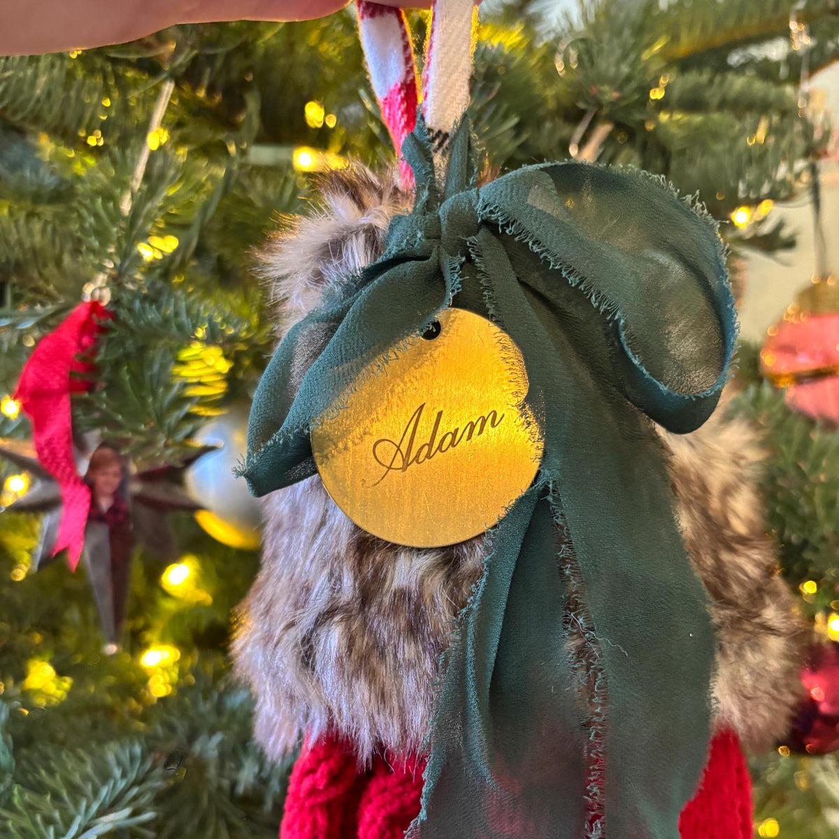 A close-up of a Christmas stocking tag hanging on a decorated tree. The tag features a red cable-knit sweater, a brown faux-fur collar, a dark green sheer ribbon bow, and a round gold tag with the name 'Adam' written on it.